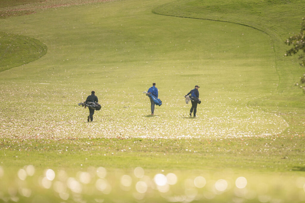 Who Is The 9-Hole Golfer?