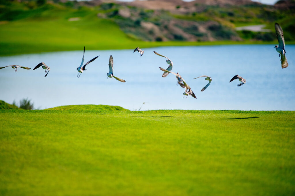 Al Mouj Golf Adds New Environment Award to its International Achievements