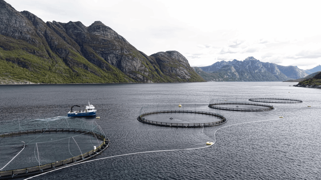 Nofir collects and recycles materials from the fishing- and aquaculture industries