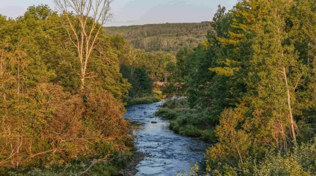Nestled in the tranquil foothills of the Cobequid Mountains, Cabot Wilds is located in the charming community of Collingwood Corner, just outside of Oxford, recognized as the “wild blueberry capital of Canada.”
